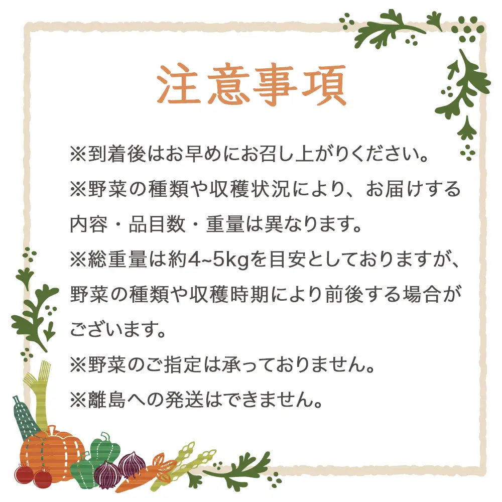 つがる市産 おまかせ夏の野菜セット 約4kgから5kg [1006]