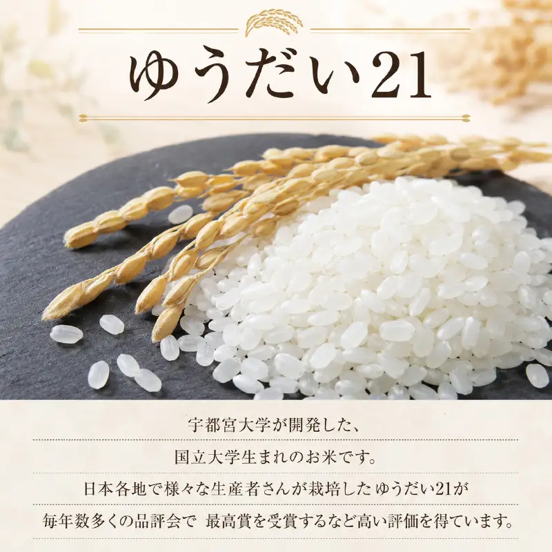 【新米 先行予約】 令和8年産米 ゆうだい21 白米 5kg 2026年産