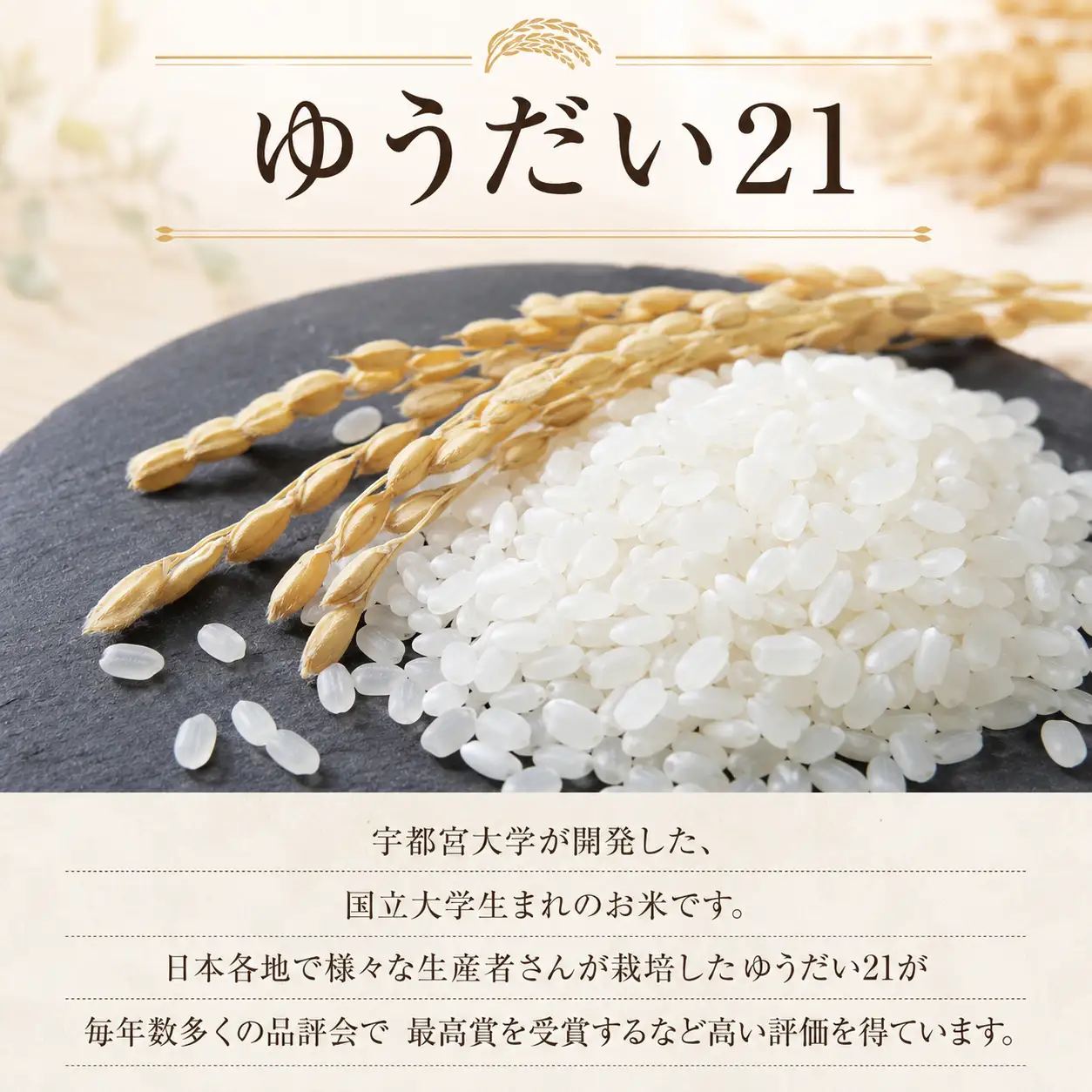 【新米 先行予約】 令和8年産米 ゆうだい21 白米 10kg 2026年産
