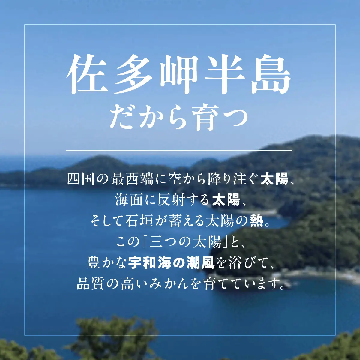 サンフルーツジュース 720ml×1本  IKTBN013 