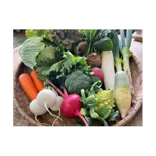 【戸張農園】厳選おまかせ野菜セット