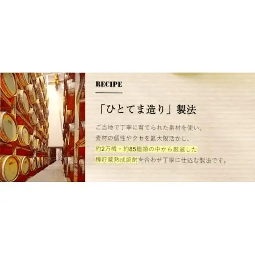 【宝酒造】南房総レモン クラフトチューハイ（12本セット）