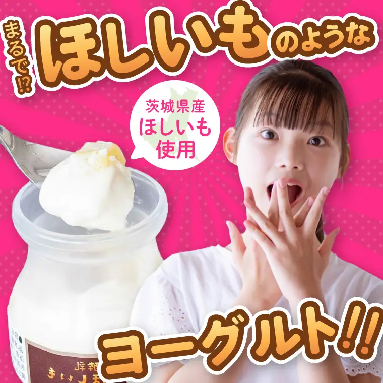 まるでほしいも 100g×12個  (ほしいもクン特製 化粧箱入り 1箱 (3個入り)×4個) 干し芋風 さつまいもスイーツ しっとり 食感 甘い おやつ 人気 お菓子 お取り寄せ【茨城県共通返礼品/つくば市】（106-23）