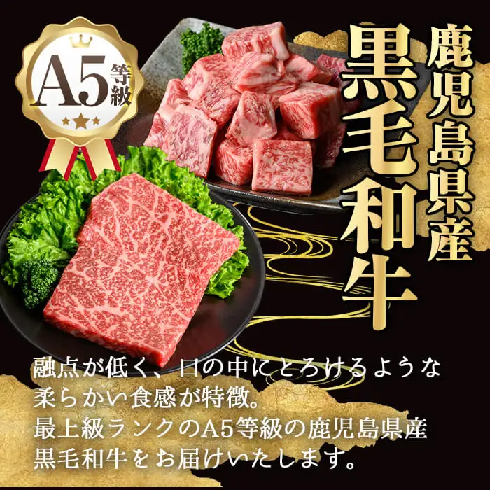 鹿児島県産 A5 黒毛和牛 極厚 シャトーブリアン(計600g・300g×2枚)【KNOT】 D55