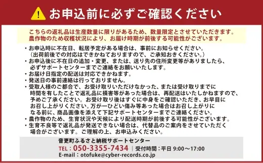 美しメロン 1玉 1.6kg以上 4個入 メロン フルーツ 果物 くだもの 果実 果肉 果汁 国産 北海道産 【 2026年7月上旬～8月下旬発送予定 】