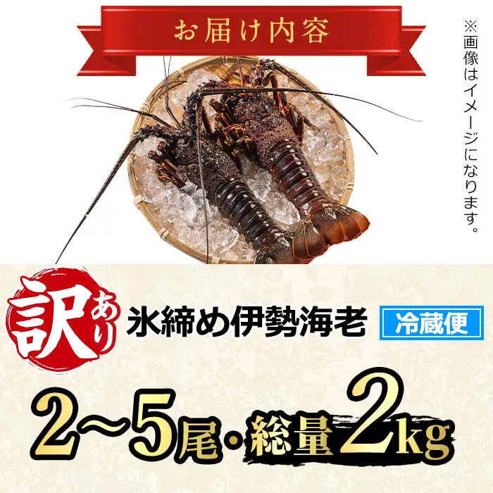 【0683209a】＜訳あり＞朝獲れ発送！鮮魚問屋が厳選した氷締め伊勢海老(2～5尾・総量2kg以上) 伊勢エビ 伊勢えび 刺身 さしみ えび 海老 魚介類 海鮮 刺身 塩焼き 訳あり 訳アリ 【江川商店】