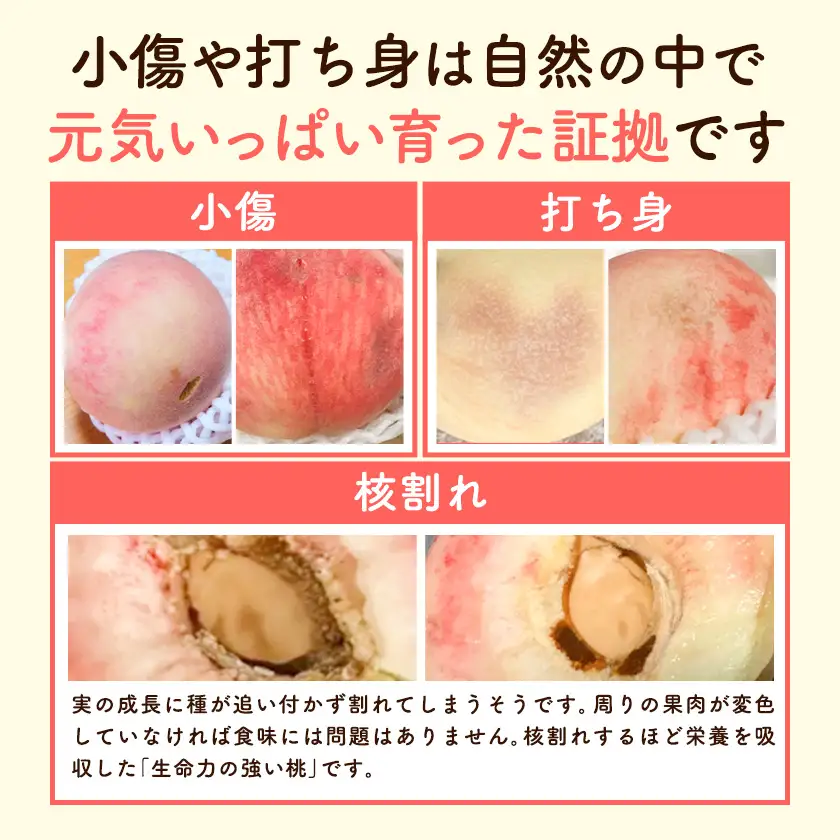 ＼2026年発送／ 桃 訳あり お助け桃 約1.2kg