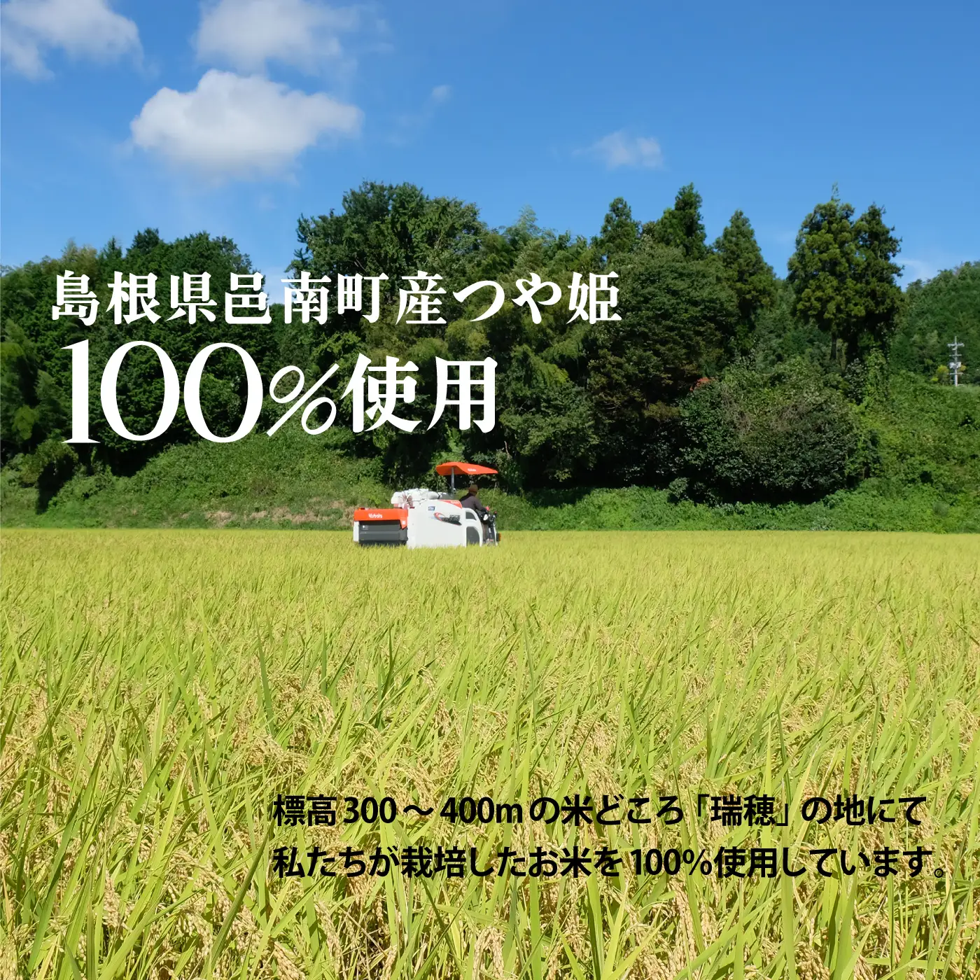 邑南のお米 「だいすき ごはん」パックご飯 （つや姫）150g×12個