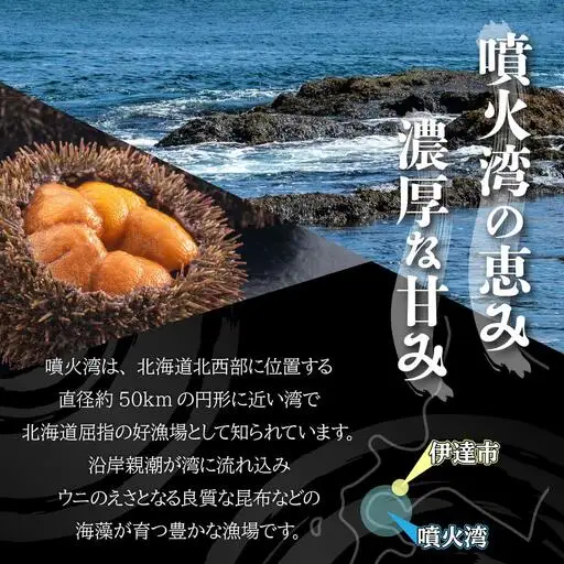 【ふるなびWEEK対象】訳あり バフンウニ 100g 2パック 計200g×定期便2回《アフター保証付き》【55250812-a002_FU】