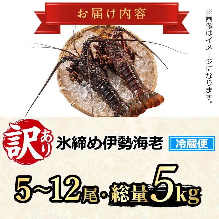 【1683212a】＜訳あり＞朝獲れ発送！鮮魚問屋が厳選した氷締め伊勢海老(5～12尾・総量5kg以上) 伊勢エビ 伊勢えび 刺身 さしみ えび 海老 魚介類 海鮮 刺身 塩焼き 訳あり 訳アリ 【江川商店】