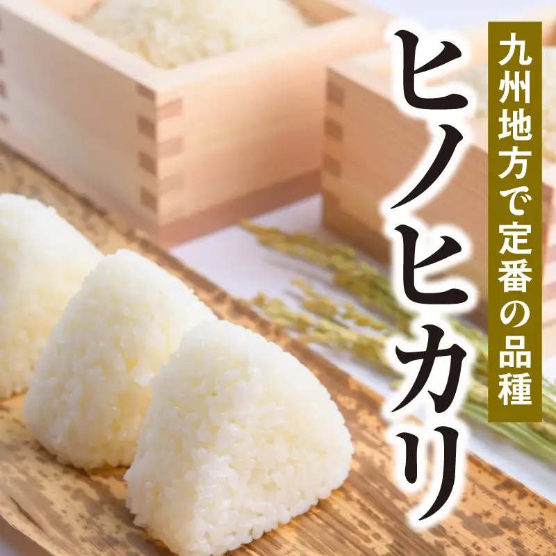 延岡産ヒノヒカリ（無洗米）10kg 12ヶ月定期便 N0218-YK008