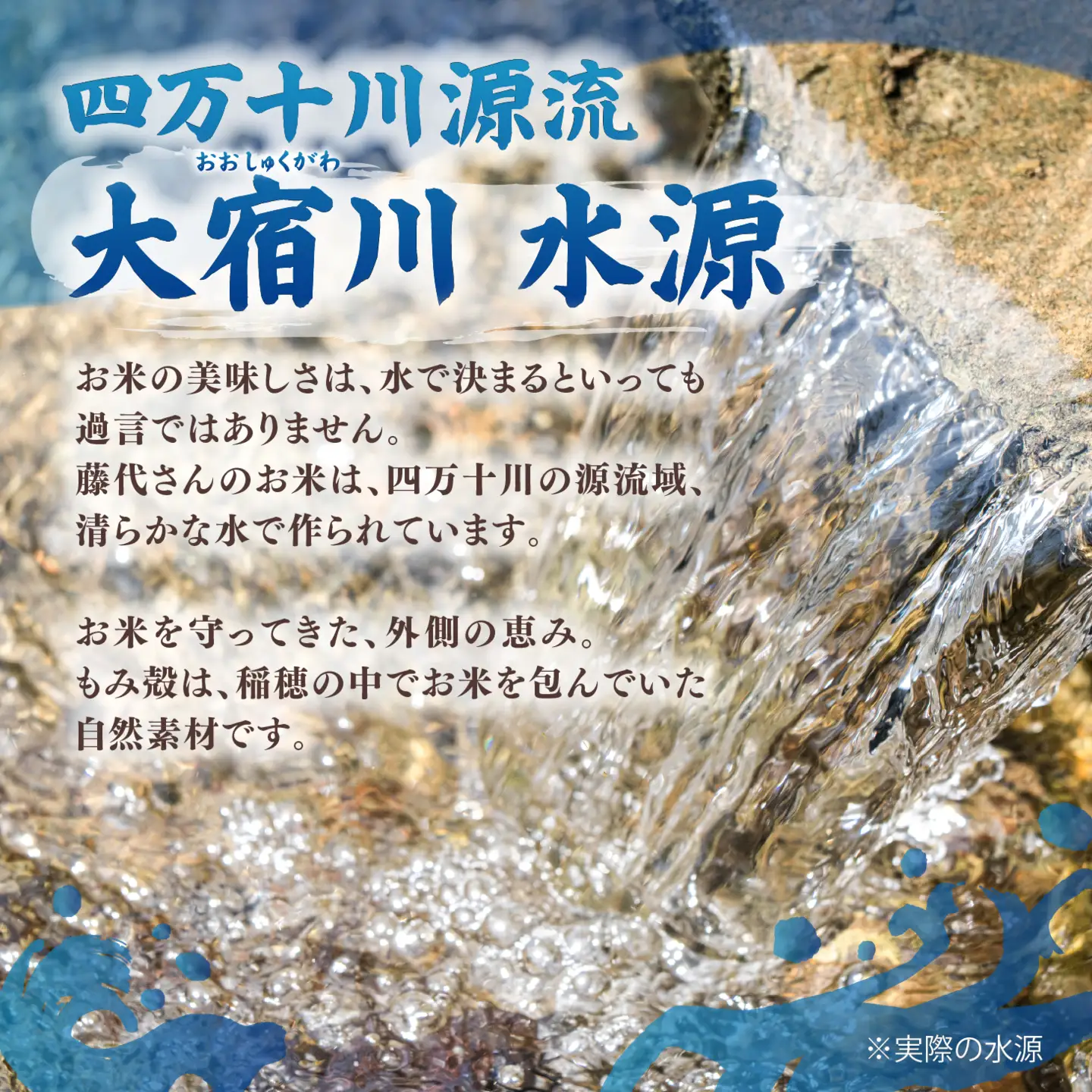 藤城さん家のもみ殻 10kg |もみ殻 籾殻 園芸 資材 土壌改良 ミルキークイーン コシヒカリ 10キロ 小分け 使い勝手 野菜 やさい作り 畑 保温