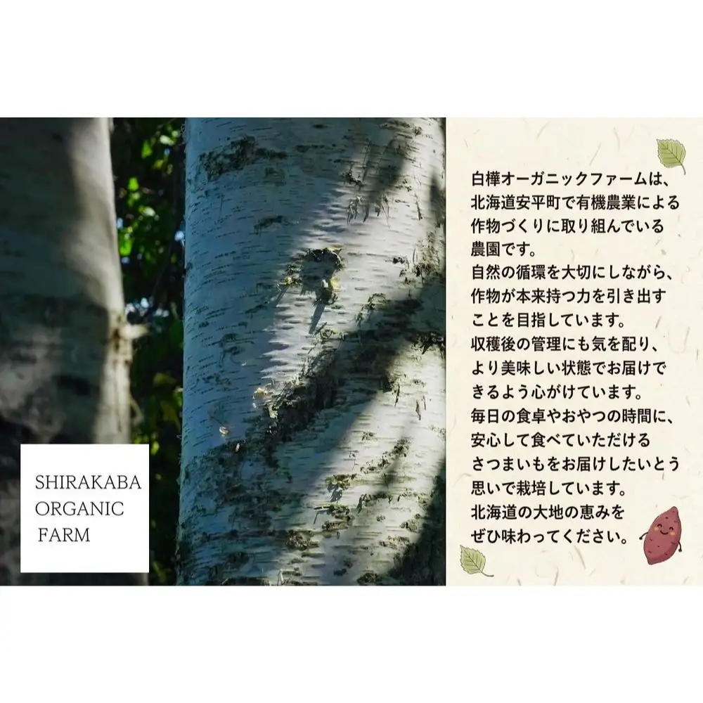 ＜ 先行予約 ＞ オーガニック さつまいも べにはるか 10kg サツマイモ 紅はるか いも イモ 芋 有機栽培 有機野菜 化学農薬不使用 化学肥料不使用 焼き芋 大学芋 北海道 安平町 安平