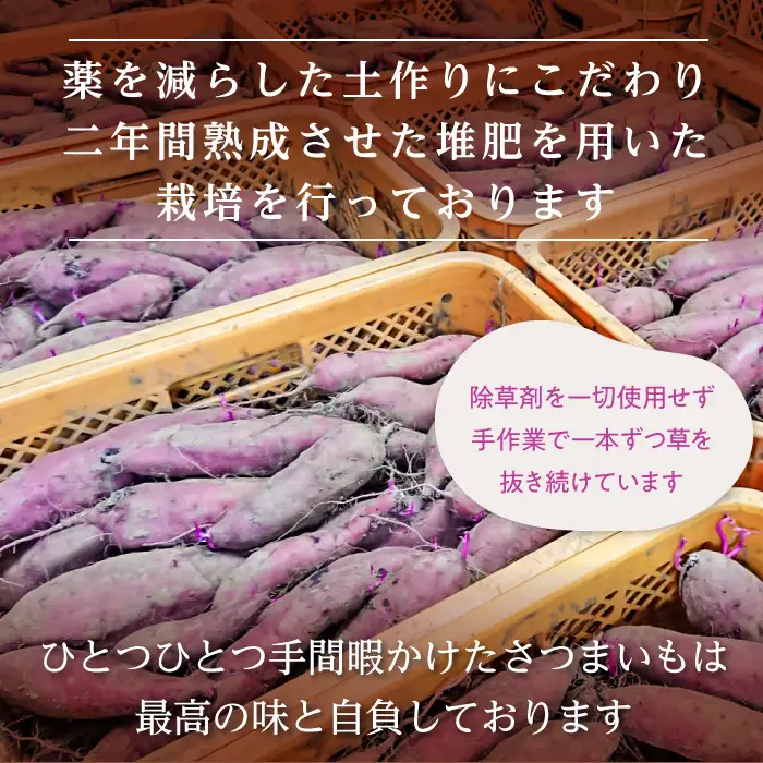 干し芋 ほしいも 紅はるか 120g×6袋（720g） ＼3月発送／ ほしいも 【さつまいも鬼澤】