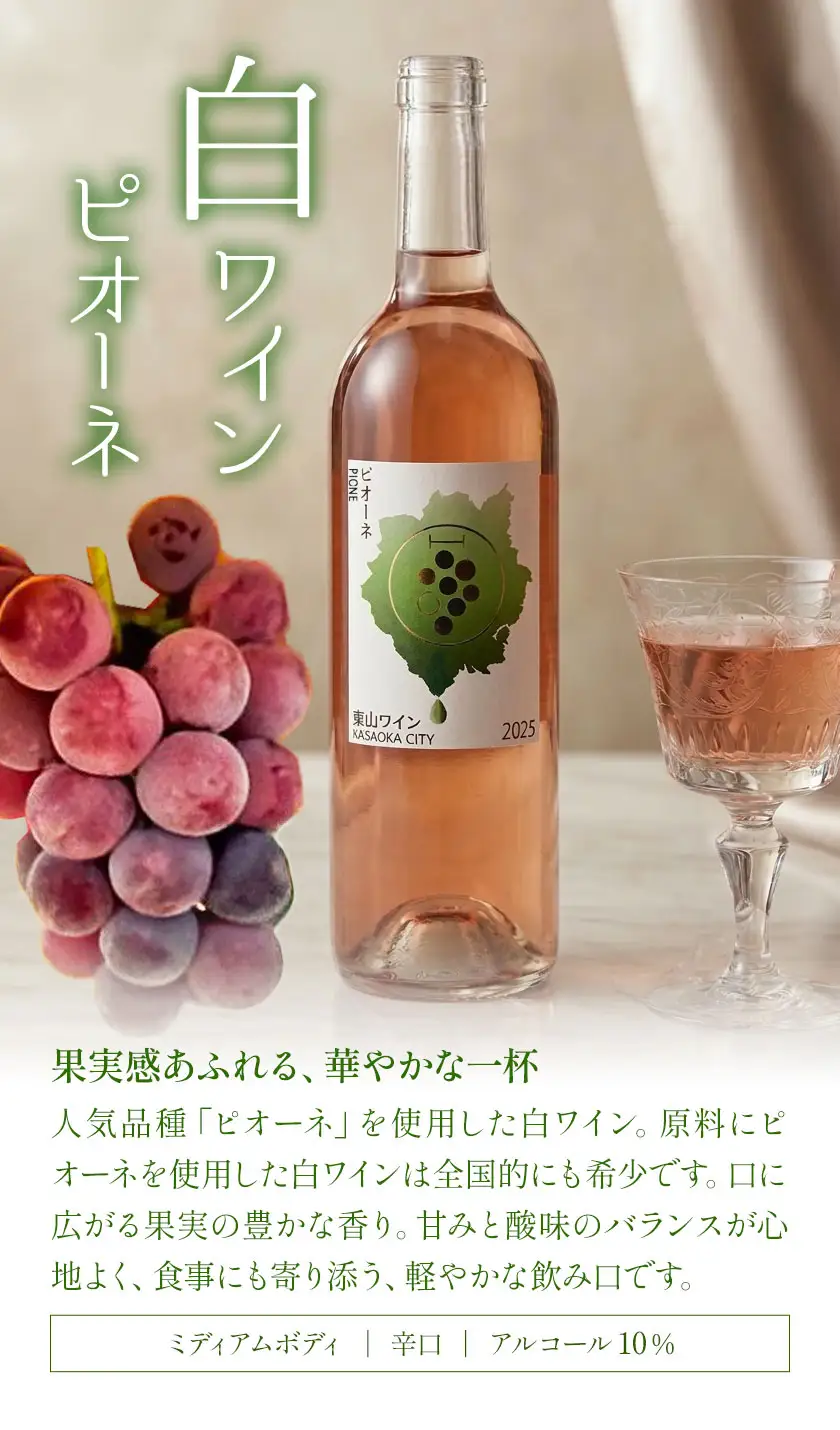 東山ワイン2025 750ml ピオーネ 東山農園