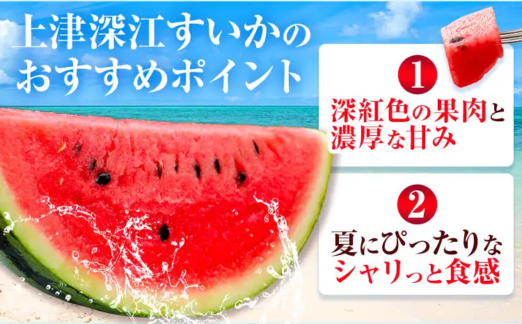 【先行予約】すいか 大玉 1玉 熊本 スイカ