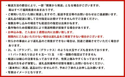 【数量限定】 福岡県産 あまおう 計500g 250g×2パック 【2027年2月上旬～4月上旬発送予定】 苺 イチゴ いちご 果物 フルーツ 果実 国産 アフター保証 アフター対応 福岡県 遠賀町 冷蔵