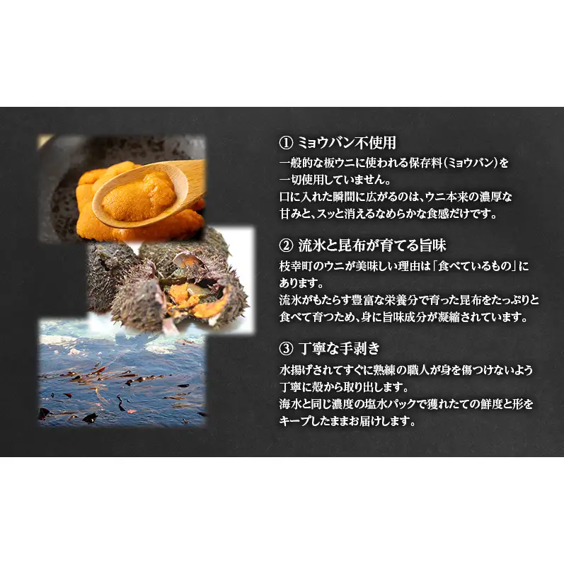 うに エゾバフンウニ 塩水パック ミョウバン不使用 オホーツク枝幸 うに【100g】