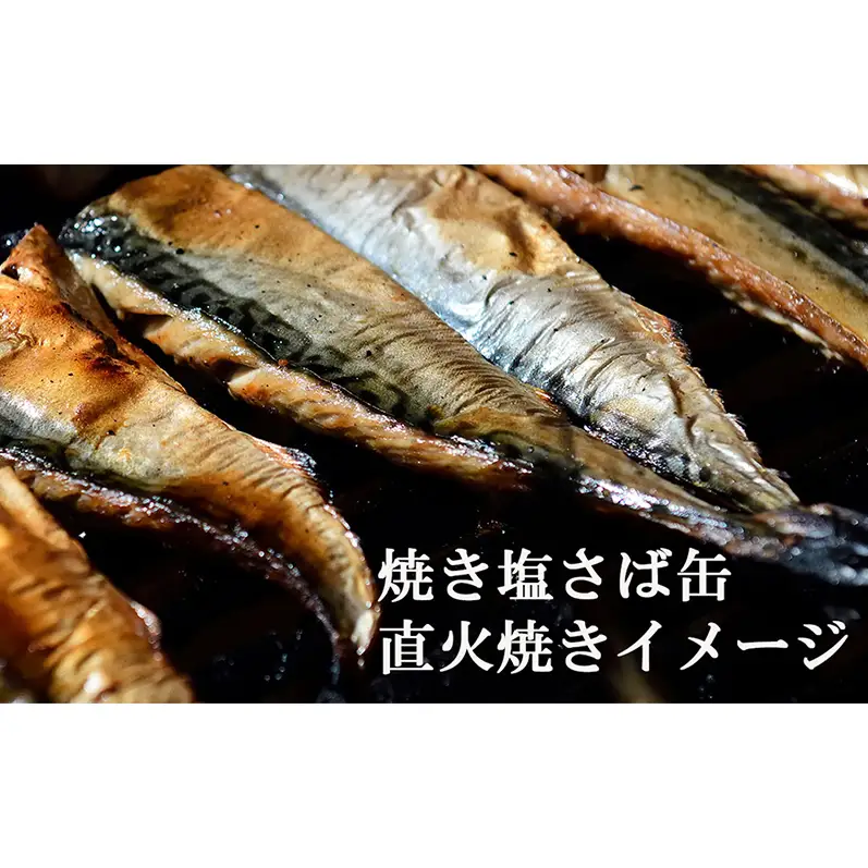 国産 焼き塩さば 10缶 缶詰 さば サバ 鯖 常温保存 防災 備蓄 非常食 保存食 国産 おかず お弁当 おにぎり お茶漬け 千葉県 千葉市