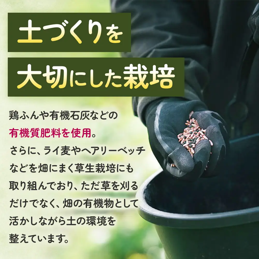 山梨県 甲斐市産 化学肥料不使用で育ったシャインマスカット1㎏
