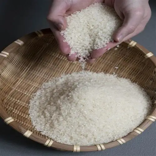 令和8年 北海道深川産 ゆめぴりか 5kg×2袋【1741828】
