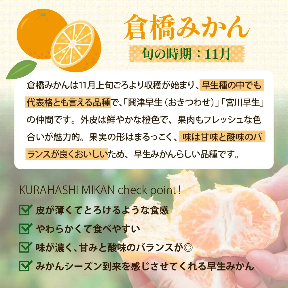 【先行受付】【2026年11月初旬～発送】倉橋ミカン食べてクレ園 倉橋みかん 約2.5kg