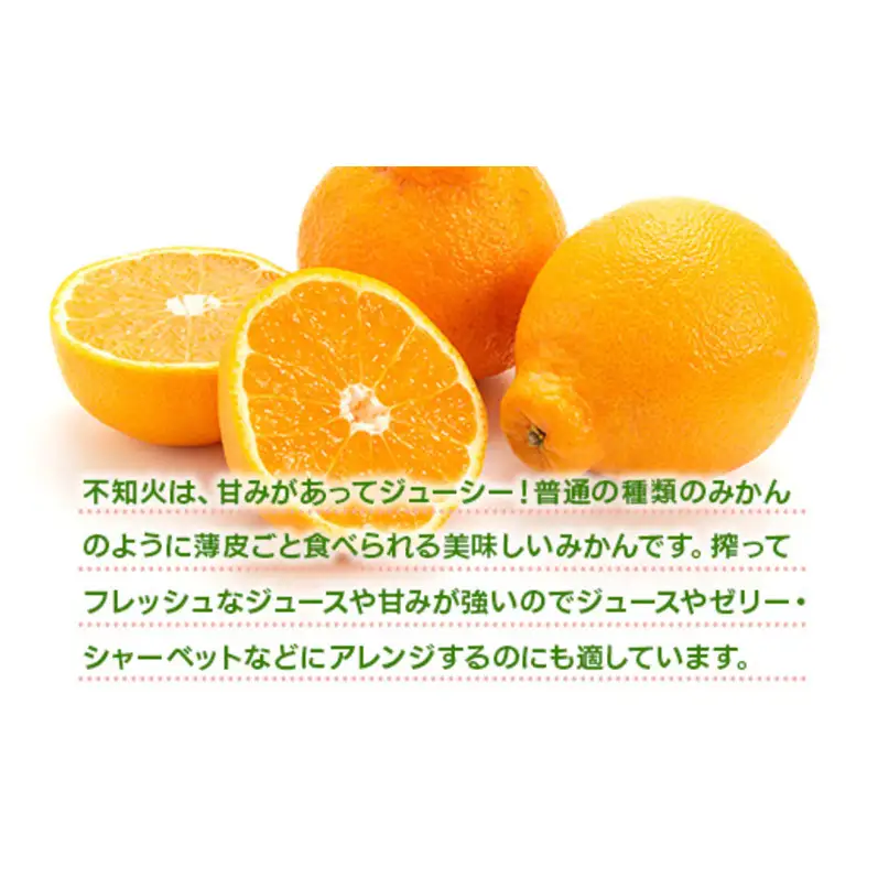 不知火 しらぬい 約5kg 柑橘 みかん ジュース ゼリー シャーベット 果物 フルーツ デザート ※配送不可:離島