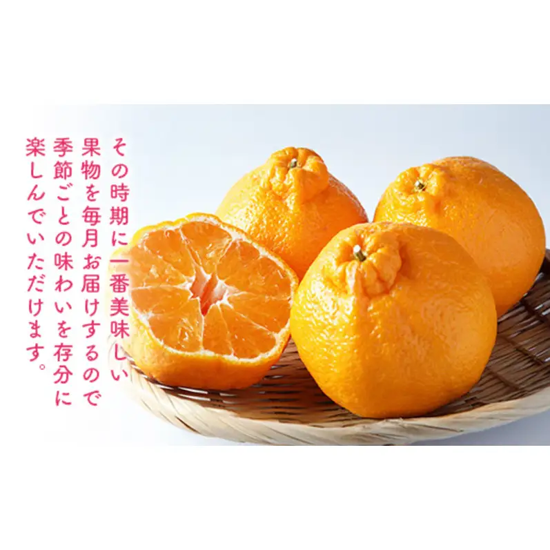 フルーツ 旬の果物 定期便 フルーツ【定期便 3ヶ月】