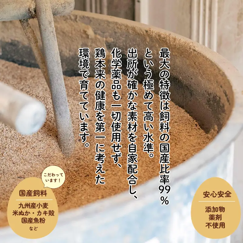 国産飼料で育てた親鶏ミンチ「名尾のめぐみ鶏」2.5kg（500g×5P） 鶏肉 親鶏 ミンチ ひき肉 冷凍：B285-008