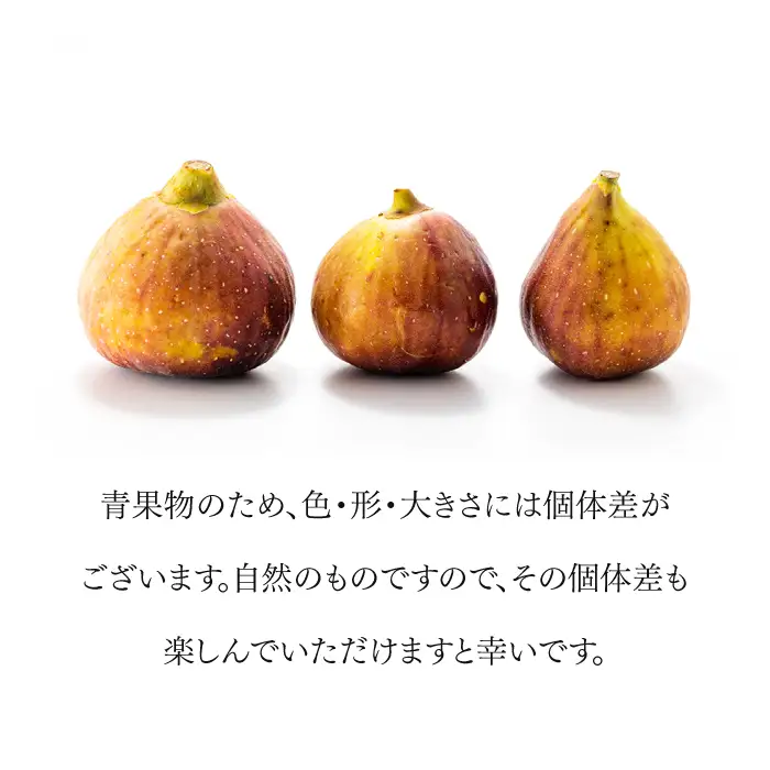 A1361.九州・福岡フルーツ王国より直送.いちじく（とよみつ姫）約1kg／2026年8月～9月配送【とよみつひめ】