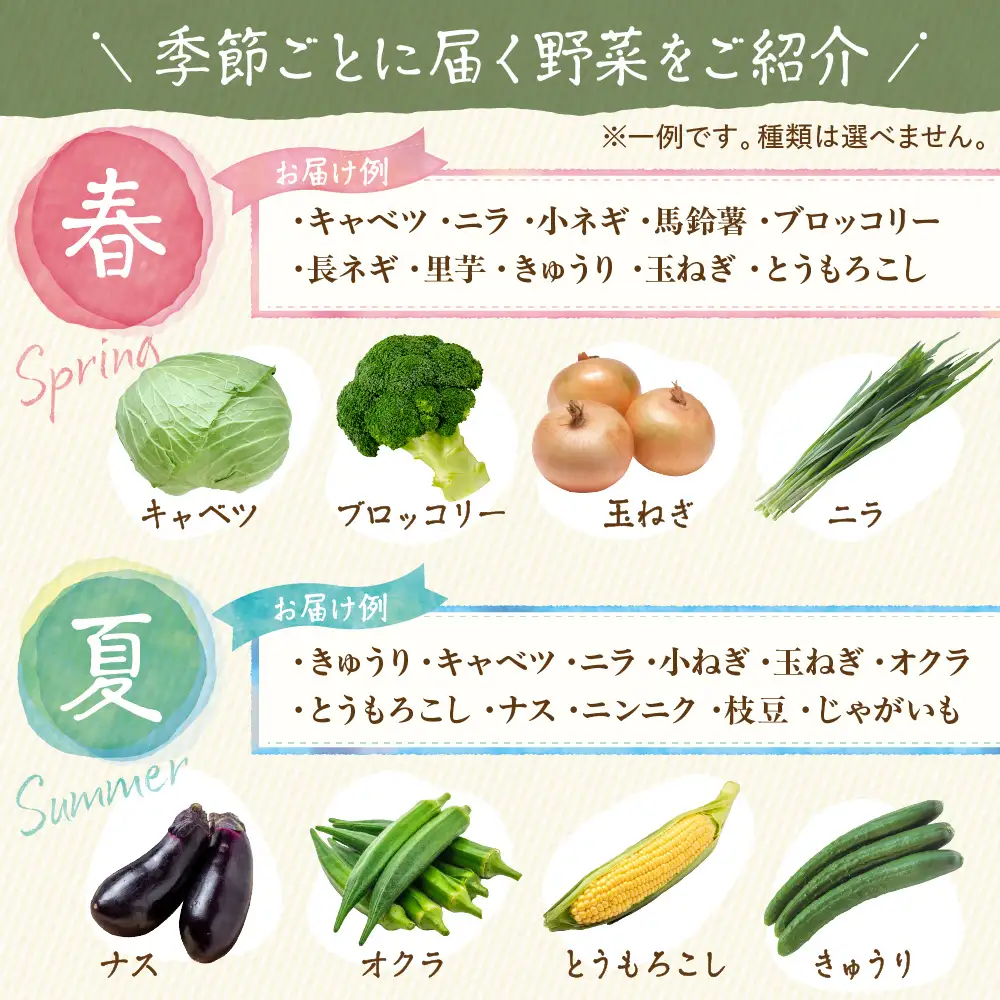 旬のお野菜詰合せセット【道の駅むなかた】_HA2050 野菜 新鮮 旬 サラダ 福岡県宗像市 宗像市 福岡 宗像