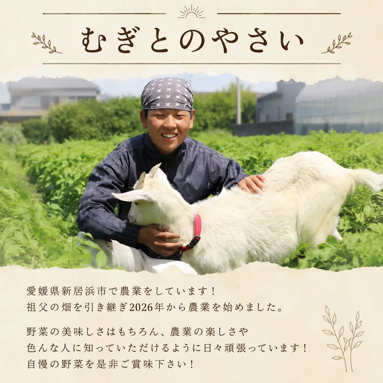 令和9年3月下旬出荷 訳あり新たまねぎ4kg【先行受付】
