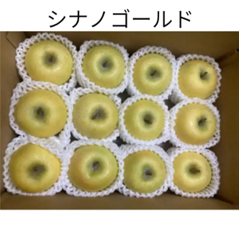 りんご好きのためのりんご定期便（全3回） FSY-2834
