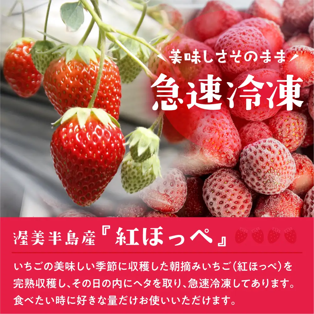【訳あり】フローズンいちご 約1kg袋 訳あり 形不揃い いちご