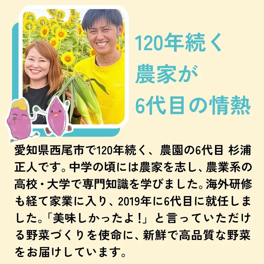 人参『キャロりん』（4.5kg×3箱）合計13.5kg・H110