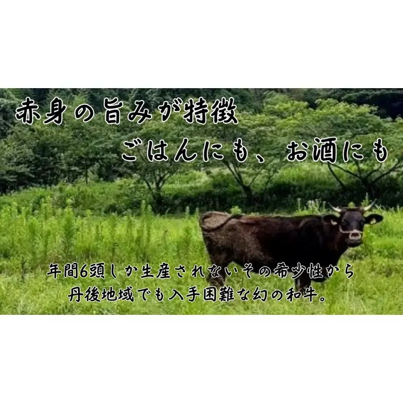 【丹後産】幻のいちがお牛100％　いちがお牛の醤油煮込み缶　1缶　肉 国産 保存 長期保管 おかず おつまみ 缶詰め カンヅメ 常温配送 常温保存 備蓄 日持ち 酒の肴 ごはんのお供 京都