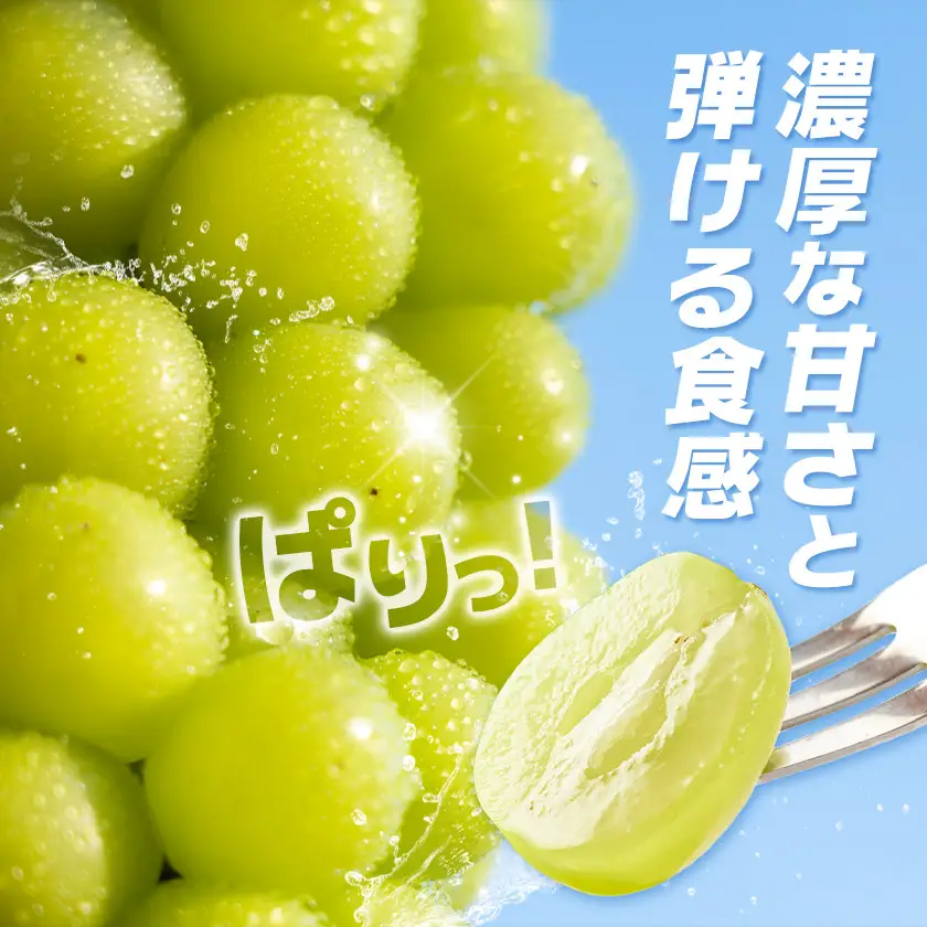 シャインマスカット 4kg じっちゃんのかじゅえん《8月上旬-9月下旬頃出荷》