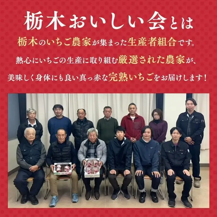 栃木おいしい会のいちご（とちあいか）260g×10パック（2600g）｜栃木県共通返礼品 栃木県産 ※2027年1月～発送