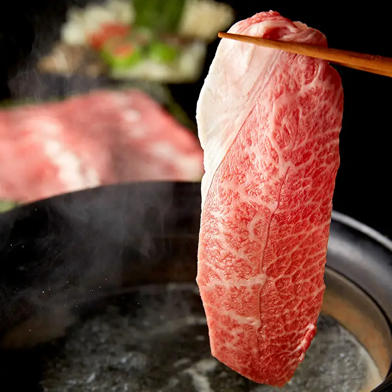飛騨牛 ロース 肩ロース 500g すき焼き しゃぶしゃぶ 牛肉 和牛肉 霜降り カタロース 岐阜県 坂祝町 養老ミート お取り寄せ グルメ ギフト 御祝 内祝 2 人前 3 人前 鍋 セット  F6M-398