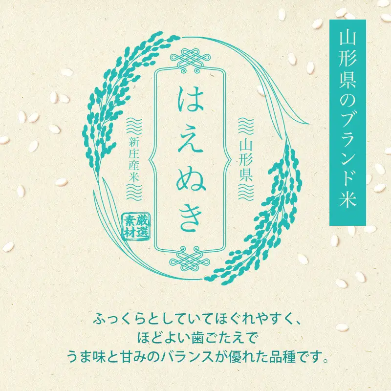 はえぬき ブレンド米 10kg 令和7年産 山形県産  精米  F3S-2807