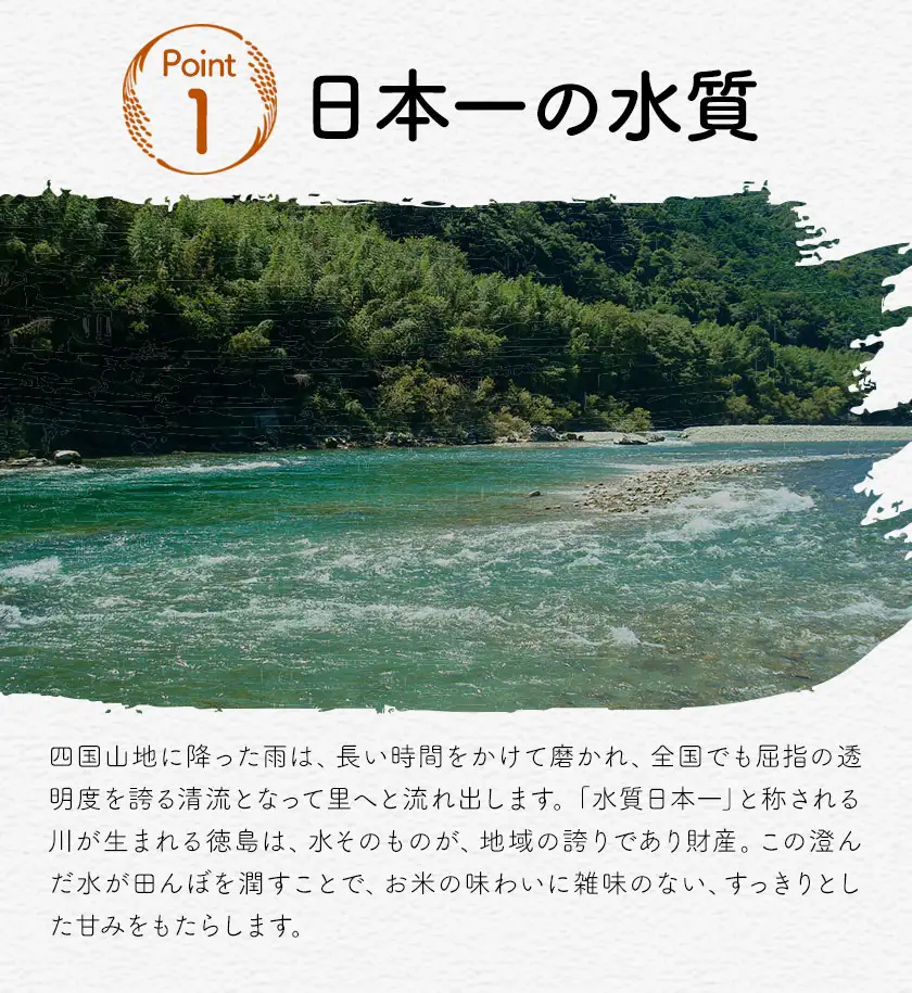 【先行予約】白米 徳島ふるさと応援米 20kg 米