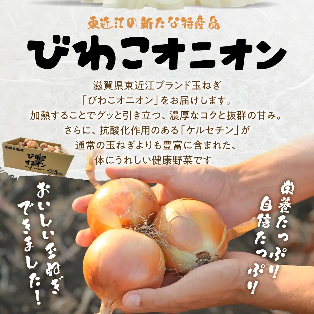 ＼8月末までの期間限定50箱／ びわこオニオン(ケルたま) 株式会社東近江あぐりステーション 滋賀県 東近江市 O-F10 玉ねぎ 玉葱 タマネギ ケルたま 10kg 野菜 旬 常温 滋賀 国産