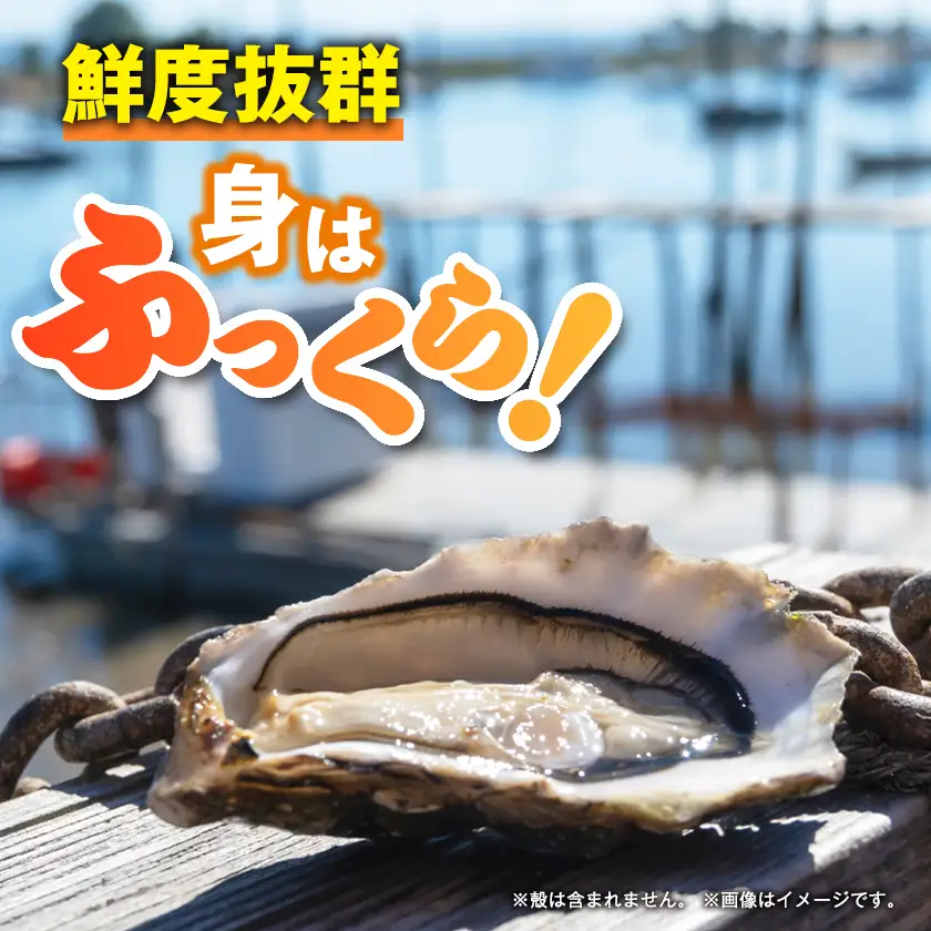訳アリ冷凍むき身カキ1kg【配送不可地域：離島】【1743559】