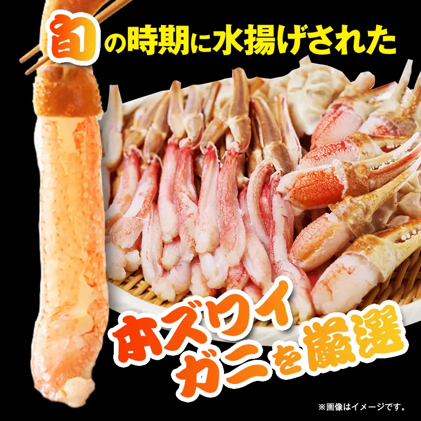 生本ズワイガニしゃぶしゃぶセット2.6kg【配送不可地域：離島】【1743630】