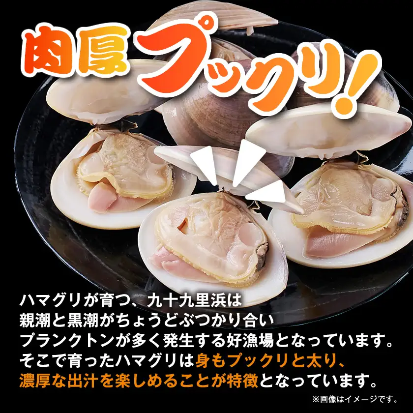 冷凍ボイルハマグリ2kg(24-40粒入り)【配送不可地域：離島】【1743659】