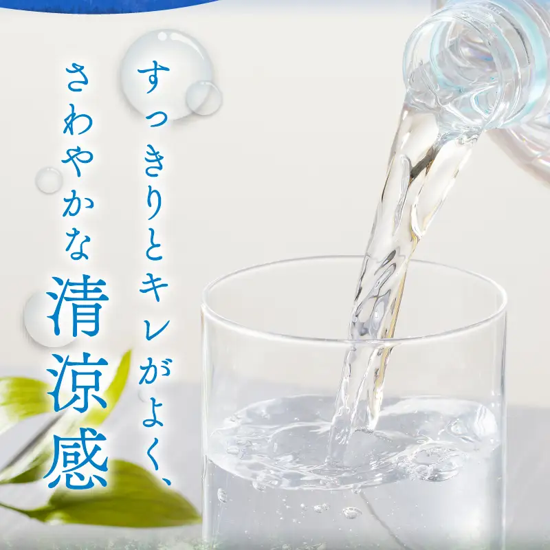 【隔月定期便】サントリー天然水 南アルプス（2L×6本）計6回お届け FN-Limited-SP [h009]