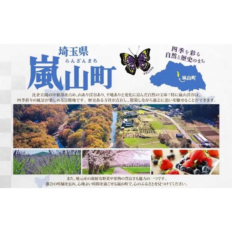 訳あり 松屋厳選！人気4種贅沢食べ比べセット（計20食・大容量）