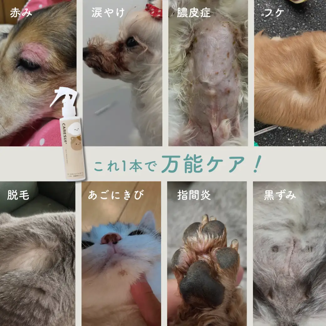 ペットローション CARESUI ケアスイ 犬猫 温泉水 ペットローション【150mL 1本】