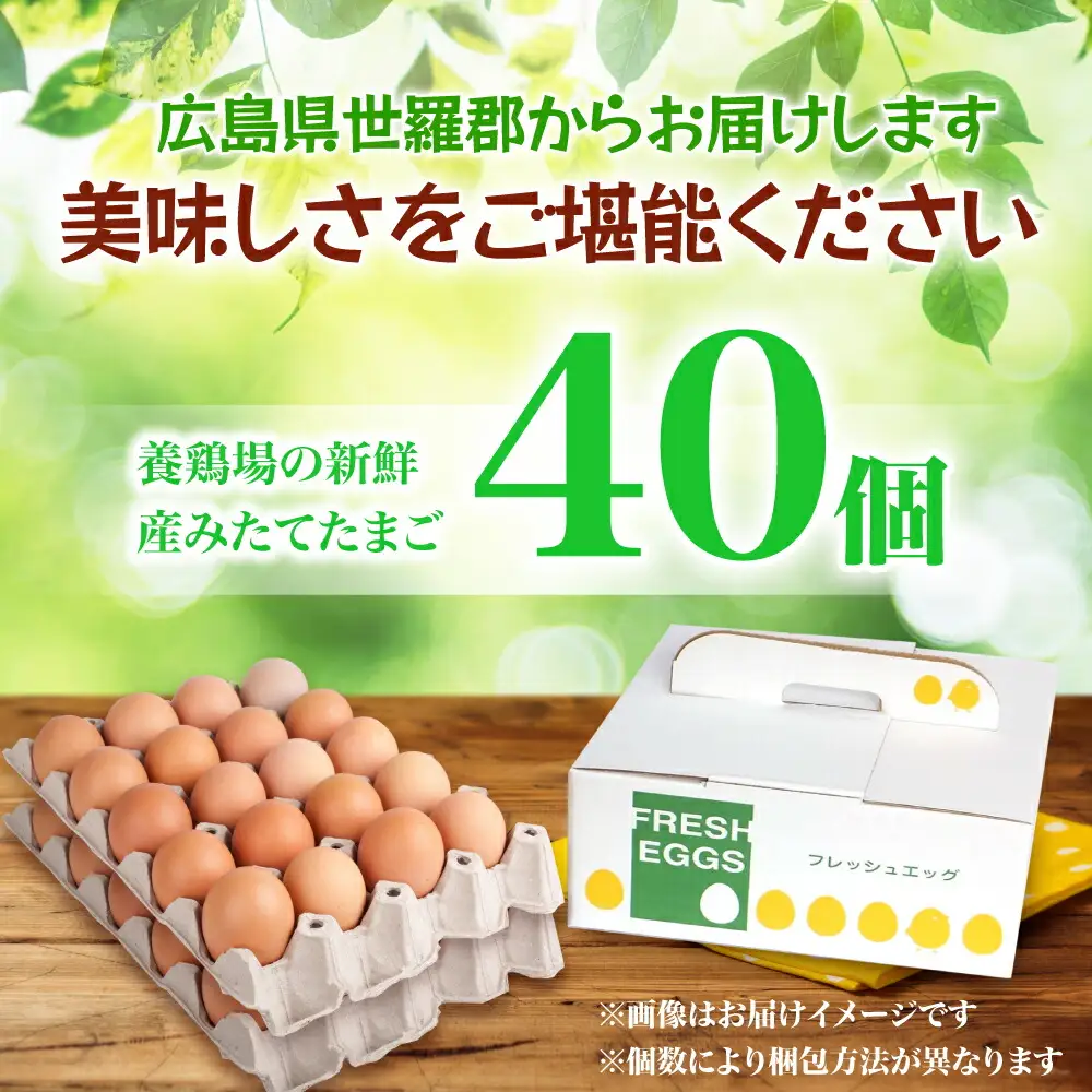 【定期便3カ月】ふみちゃん家のたまご40個入