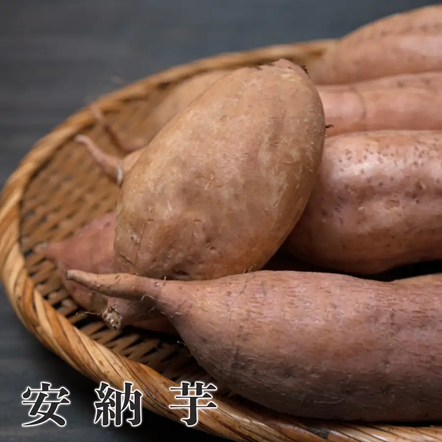 さつまいも 熟成 安納芋 約5kg 焼き芋 焼芋 やきいも ねっとり 濃厚 蜜芋 芋 おいも サツマイモ さつま芋 安納いも スイーツ おやつ 国産 産地直送 栽培期間中農薬不使用 高知県 大月町産